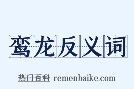 鸾龙反义词是什么意思的图片